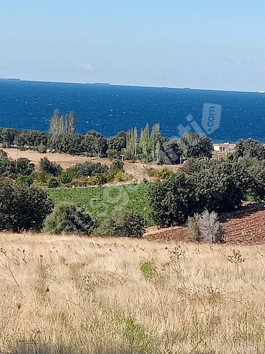 AYVACIK KÖSEDERE KÖYÜNDE 18240 m2 KAPANMAZ DENİZ MANZARALI TARLA
