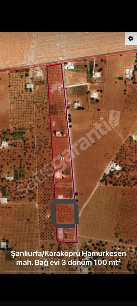 HAMURKESEN DE 3 DÖNÜM BAĞ KAÇIRILMAZ