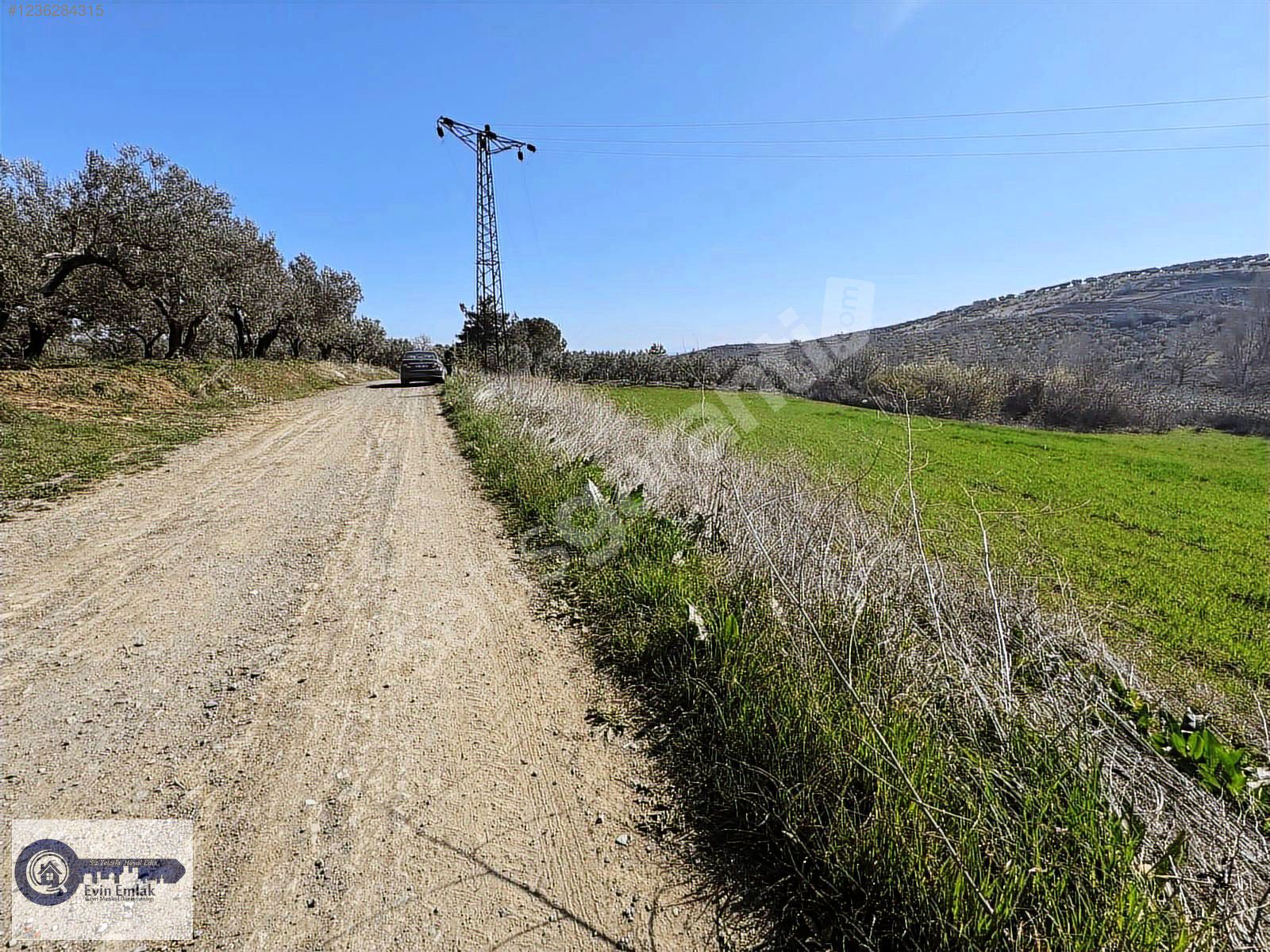 Eriklice 5800 metre satılık tarla