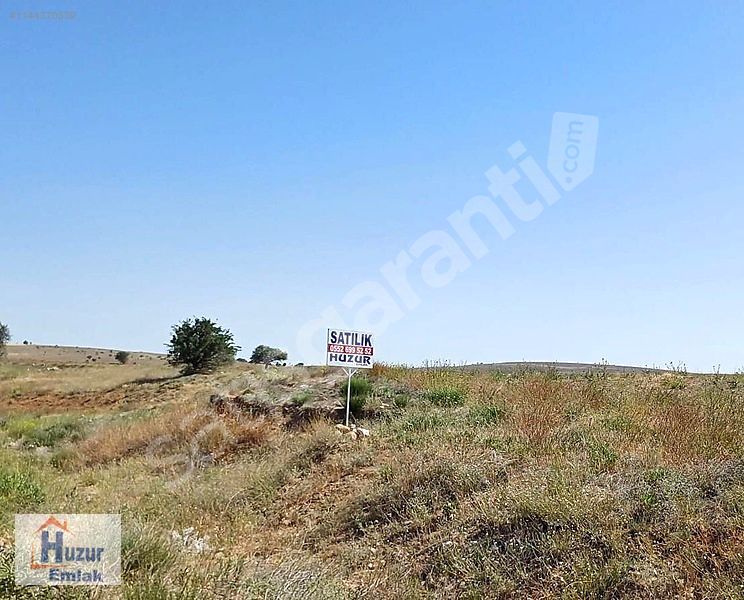 ŞUHUT YOLU ÜZERİ ORGANİZE SANAYİ KARŞISI SATILIK TARLA