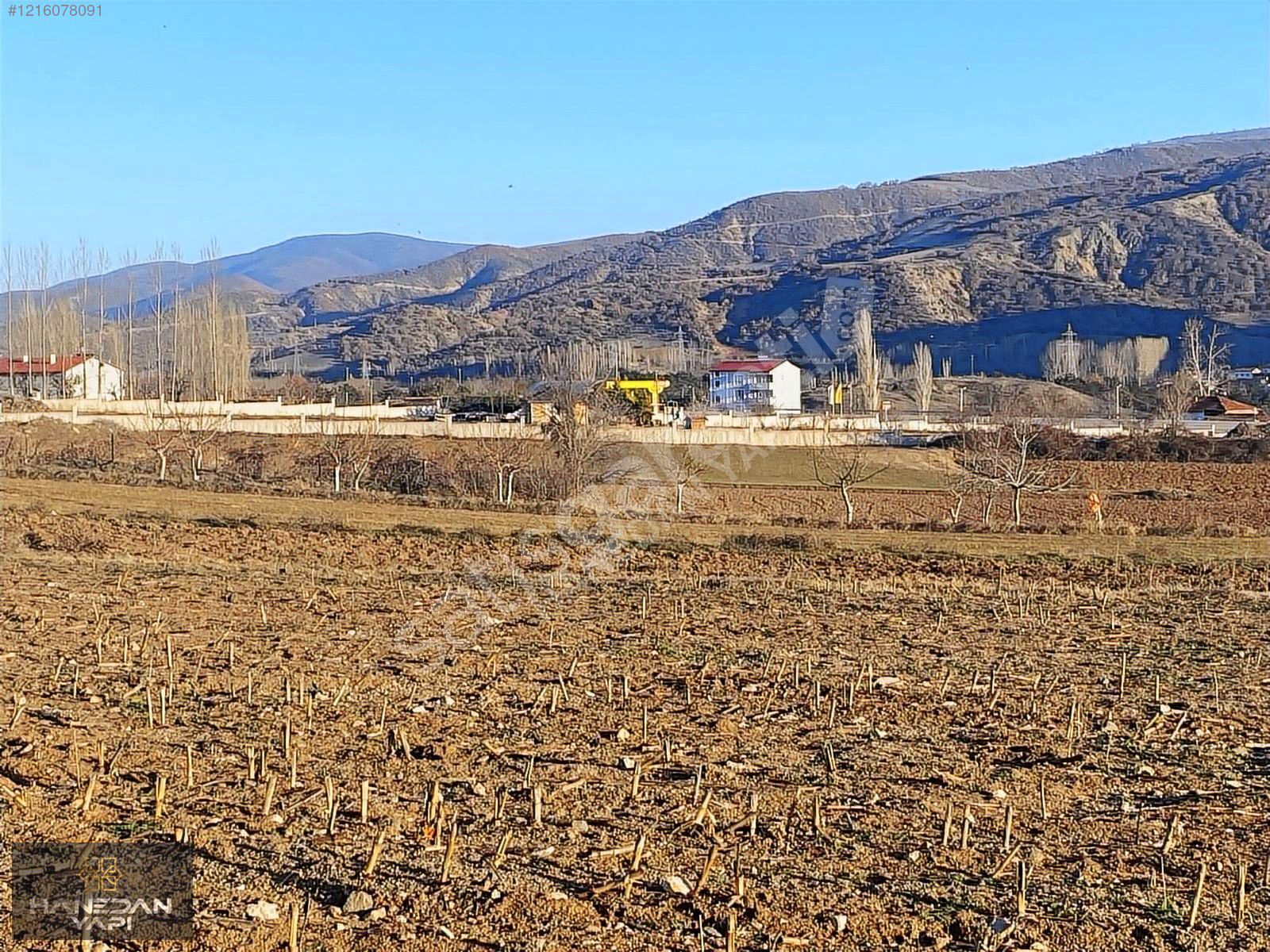 GÜMENEK'TE SATILIK 6.000 m2 TARLA