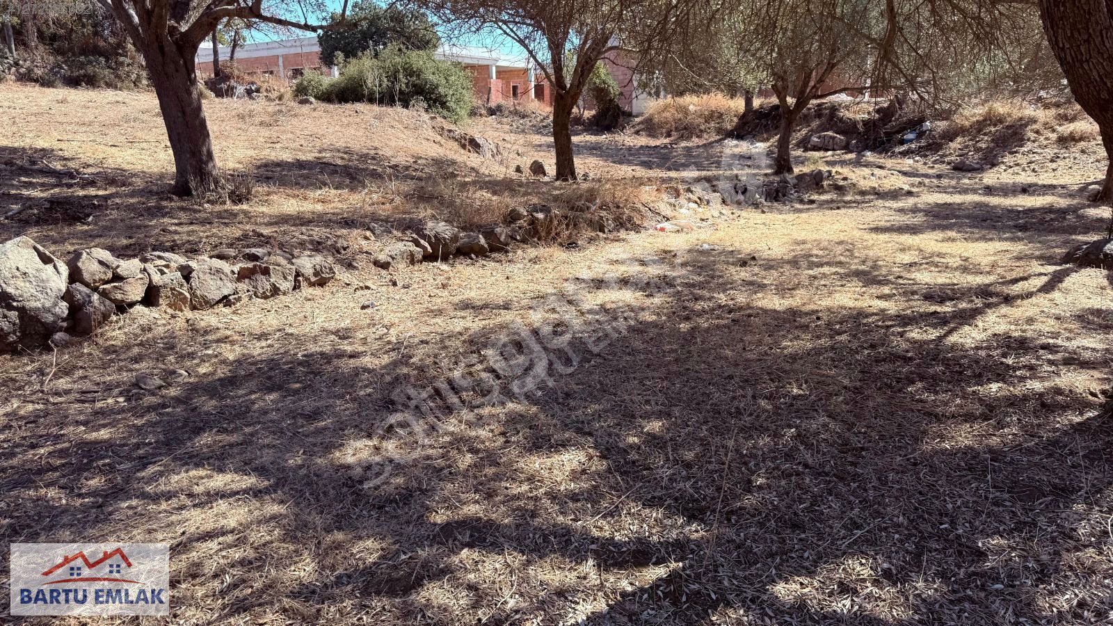 Bodrum turgutreis'te 4.500m2 kiralık arsa yol su elektirik var