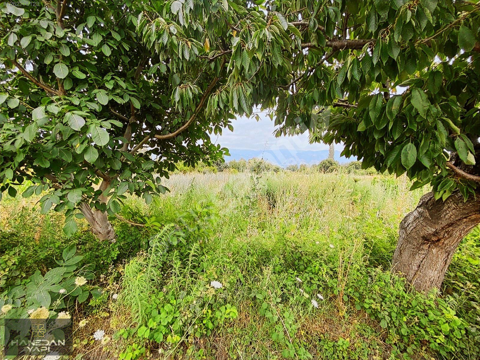 GÜRYILDIZ KÖYÜ SATILIK 992m2 TARLA