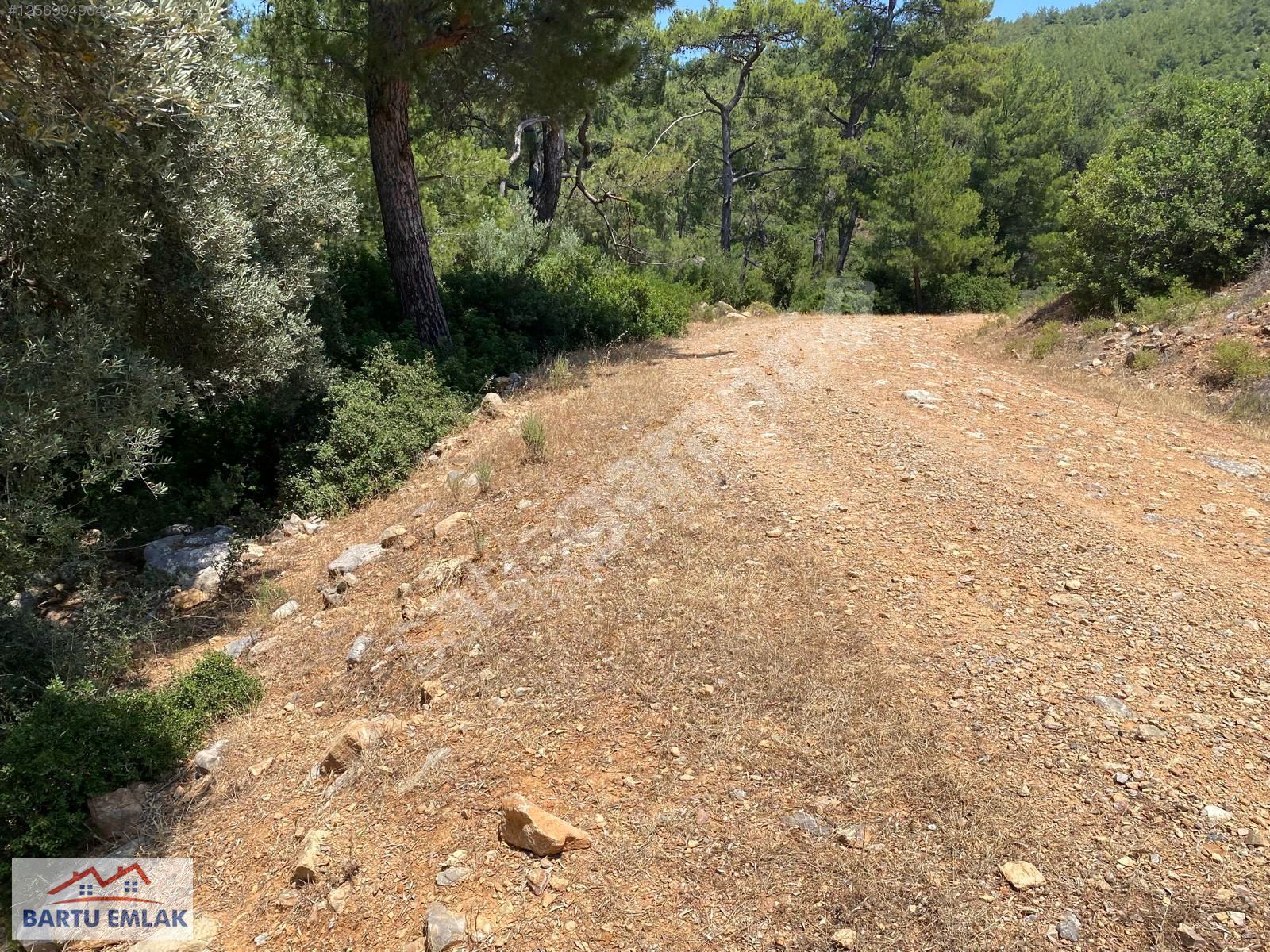 Bodruma yakın yola cepheli Yatırımlık Tarla 13000m2 Acil satılık