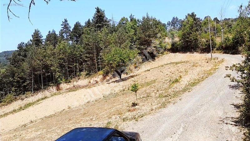 İznik Elmalı da satılık arsa