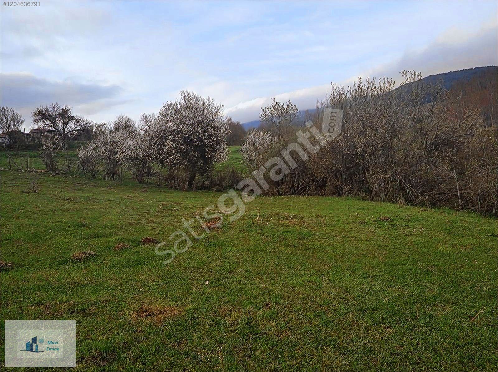KASTAMONU DEVREKANİ KURTKÖYÜ TAMAMI YERLEŞİK ALANDA SATILIK ARSA