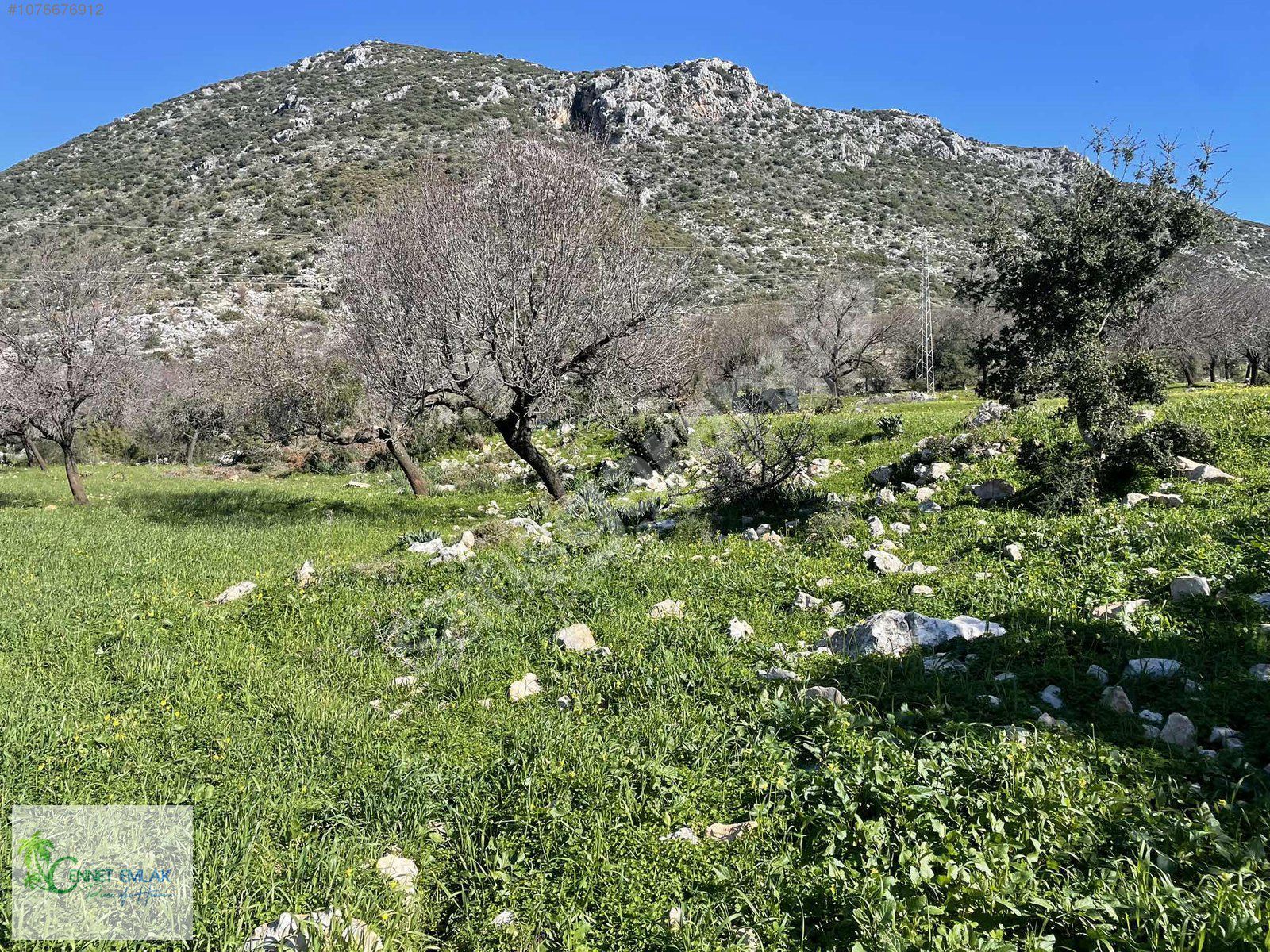 Marmaris Söğüt mah satılık Tarla