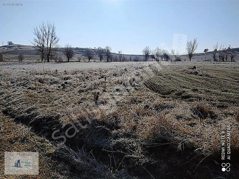 KELEPİR ARSA SEYDİLER ÇIRDAK SATILIK EV YAPILABİLİR 627 m2 ARSA