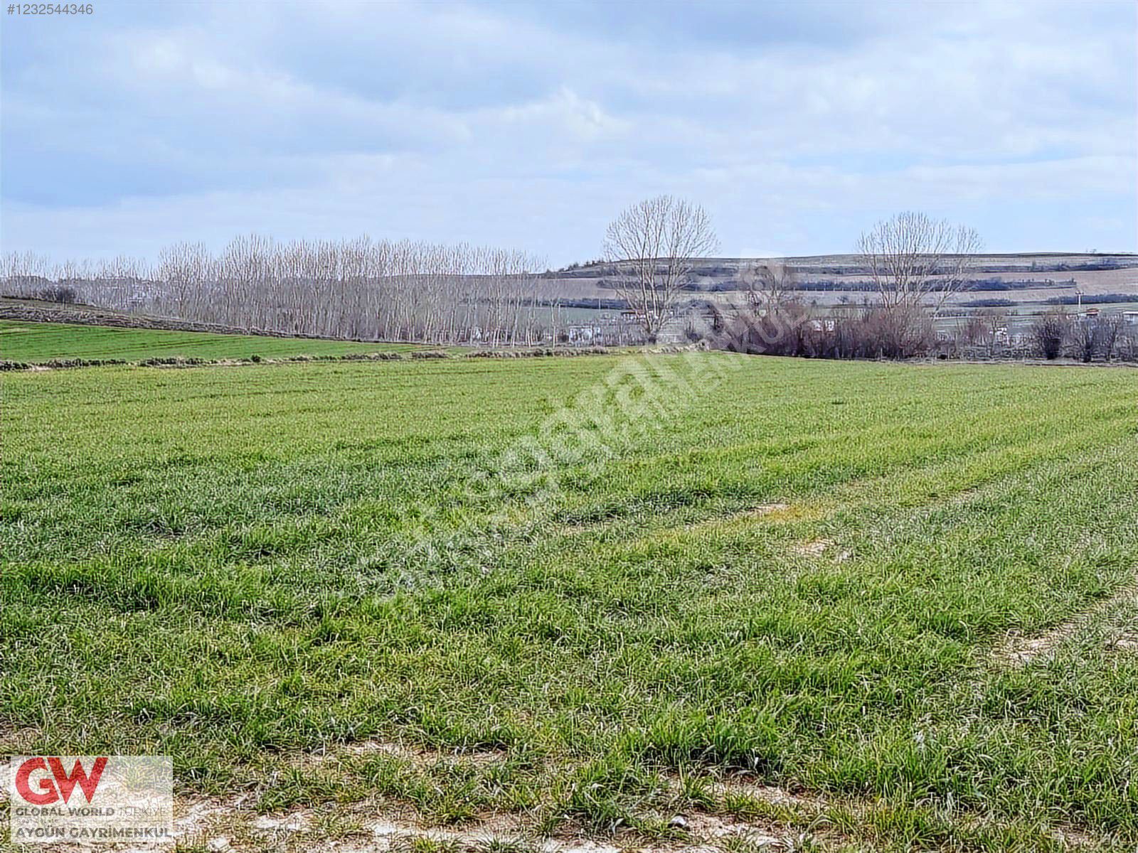 TEKİRDAĞ KAPAKLI KARLI'DA KELEPİR İHTİYAÇTAN ACİL SATILIK TARLA