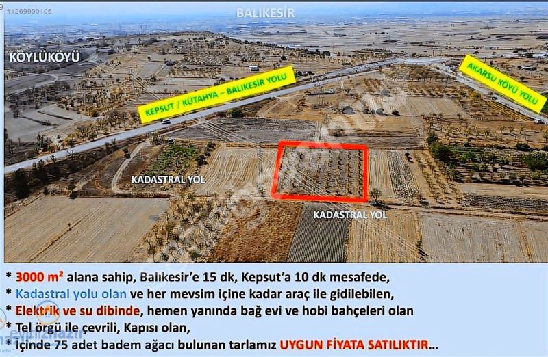 KEPSUT ANAYOLUNA 1 PARSEL KADASTRAL YOLU OLAN TARLA/HOBİ BAHÇESİ