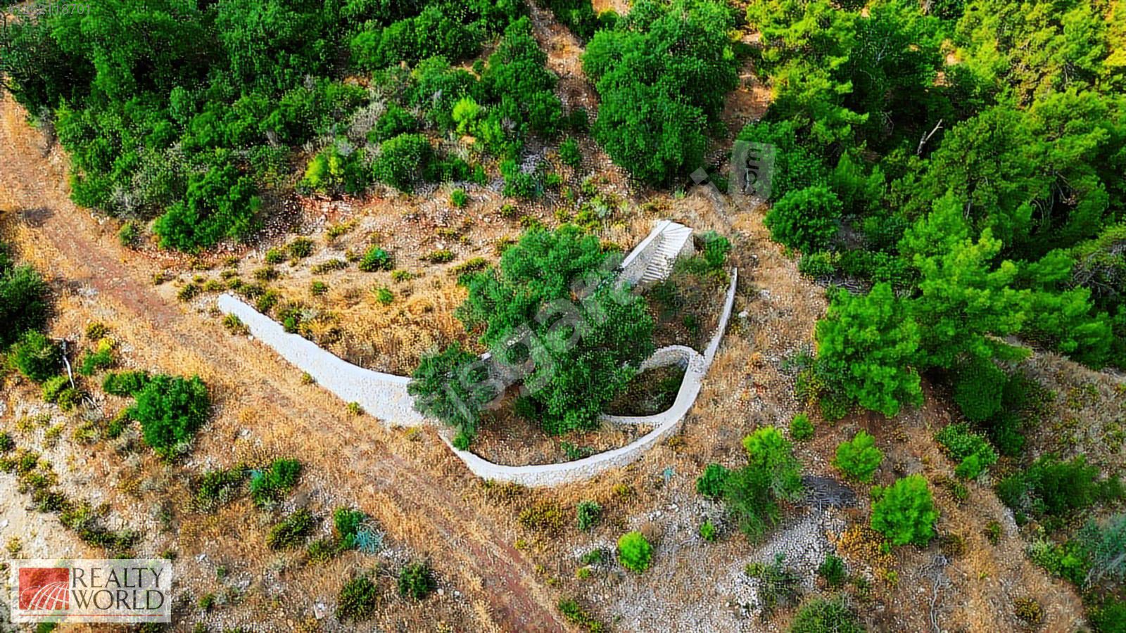 ANTALYA KUMLUCA YAZIR (OLYMPOS) DA SATILIK ARAZİ (11689 M2)