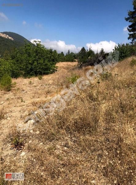 KACMAYACAK FIRSAT GEYİK BAYIRI SİNAN DEGİRMENİ NDE SATILIK ARSA.