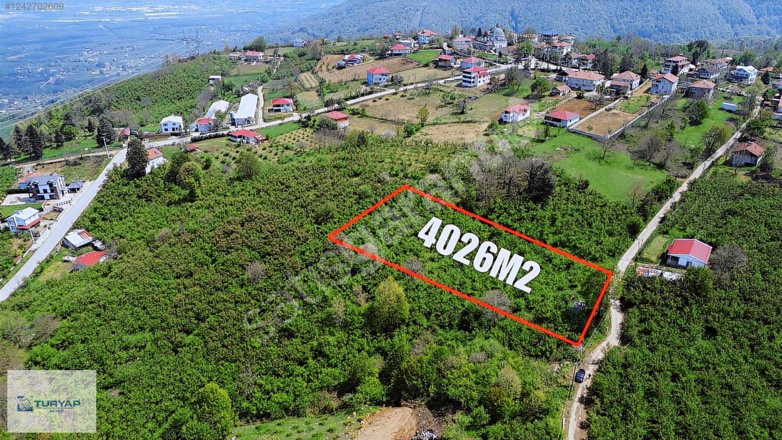 TURYAP AKYAZI'dan AHMEDİYE DE 4026M2 SATILIK FINDIKLIK