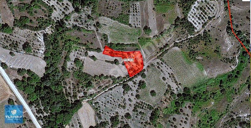 Bilecik Türkmen Köyü Muhteşem Satılık Arsa