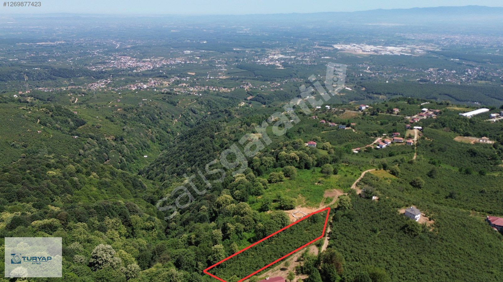 TURYAP AKYAZI'dan FELEKLİDE 2516M2 SATILIK FINDIKLIK