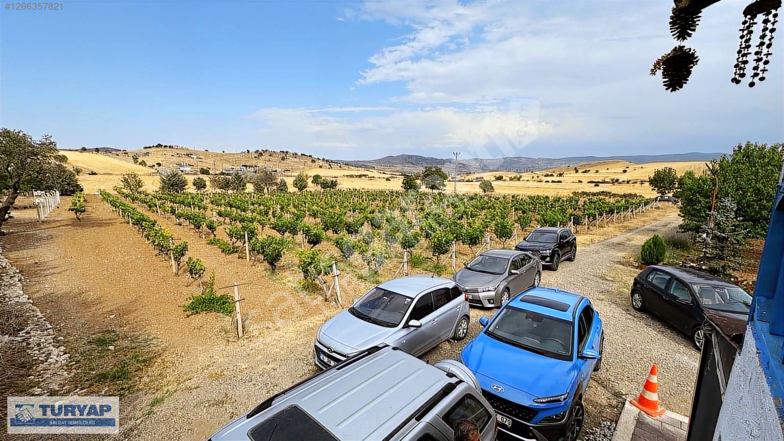 TURYAP'TAN AGRO TURİZM VE EFSANAVİ BAĞ EVİ VE MEYVE BAHÇESİ SAT.