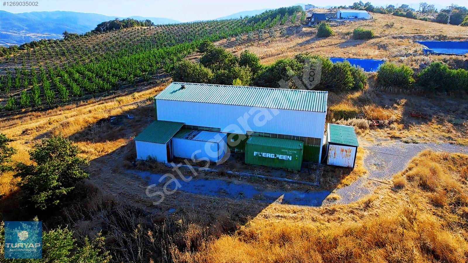 Balıkesir Gönen Muratlar Satılık Muhteşem Ceviz Çiftliği