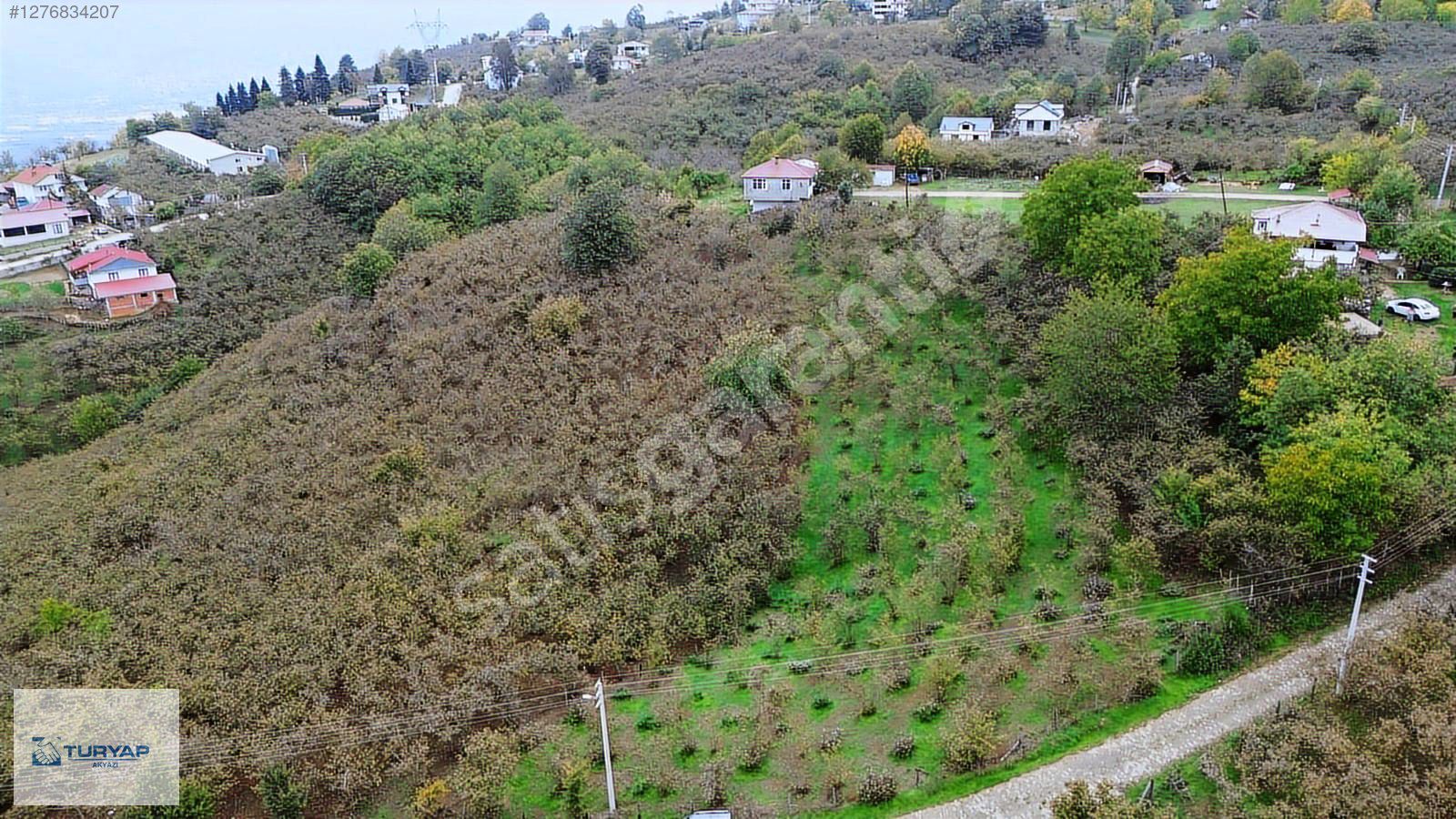 TURYAP AKYAZI'dan KARAPÜRÇEK AHMEDİYE'de SATILIK FINDIKLIK