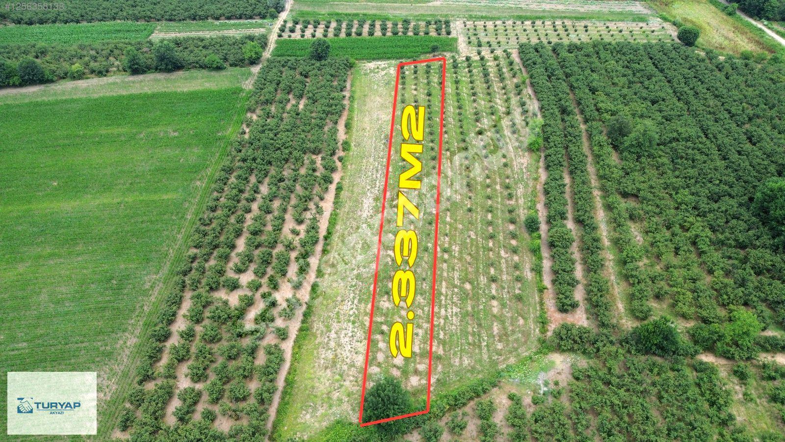 TURYAP AKYAZI'dan HENDEK ÇAYIRBAŞINDA SATILIK 2337M2 FINDIKLIK