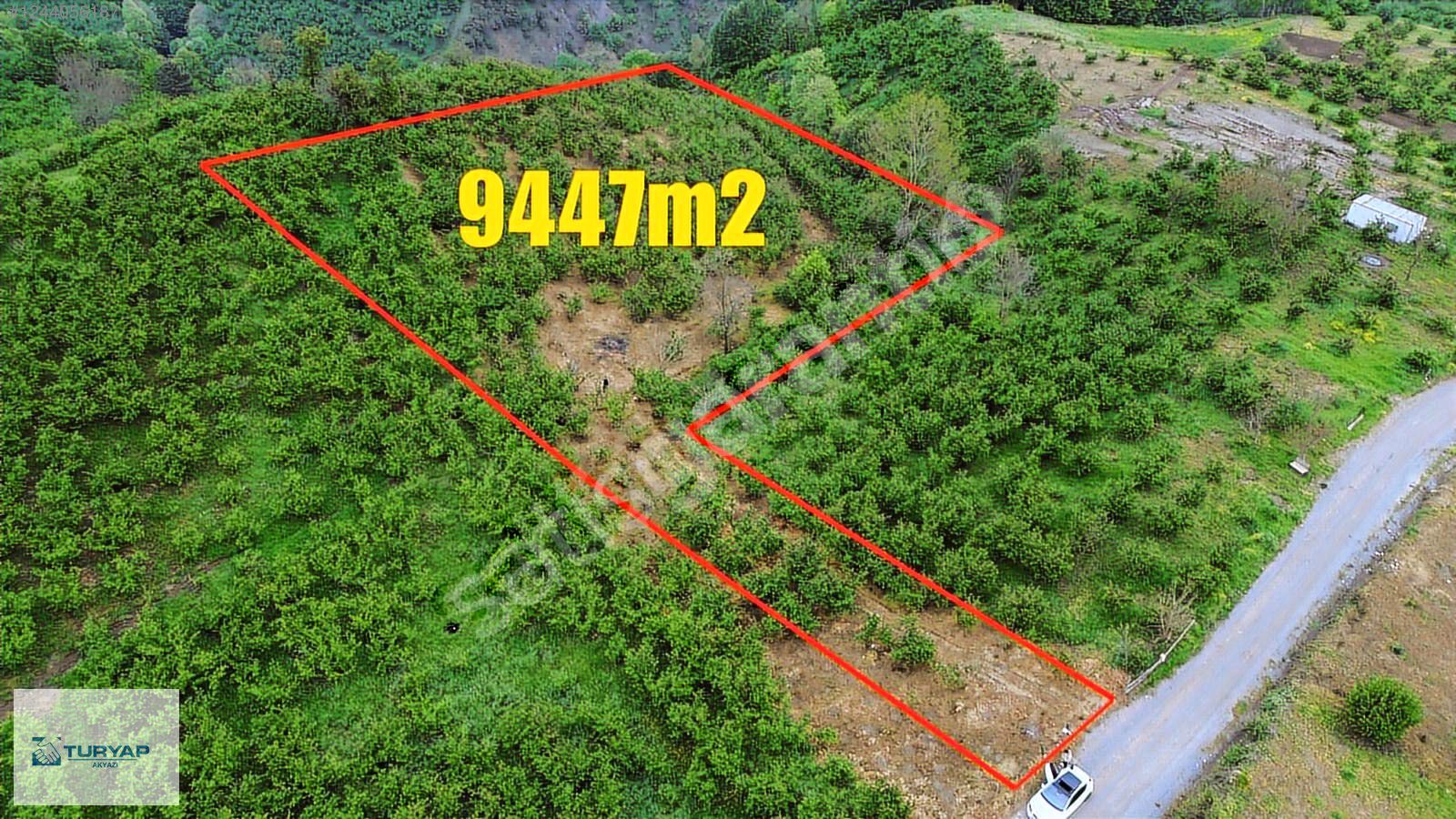 TURYAP AKYAZI'daN BELDİBİNDE SATILIK 9447M2 FINDIKLIK