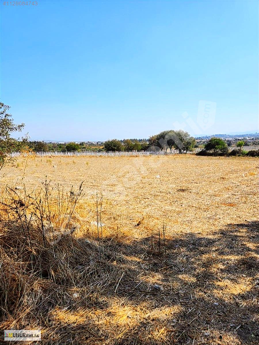 MÜHÜR EMLAK .TAN SATLIK DEĞİRMENDEREDE ARAZİ