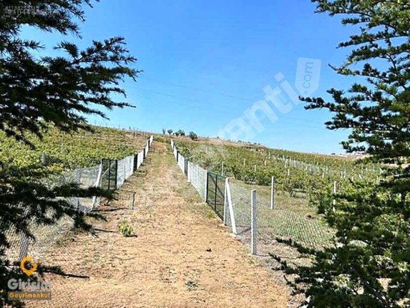 GİRİŞİMDEN ALTINDAĞ KAVAKLI'DA KÖY İÇİNDE 400M2 SATILIK TARLA