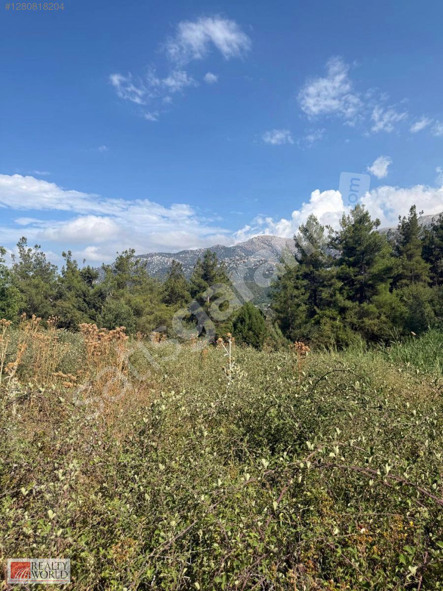 ACİL ISPARTA ALİ KÖYDE ÇAL ÖNÜ MEVKİİNDE SATILIK TARLA