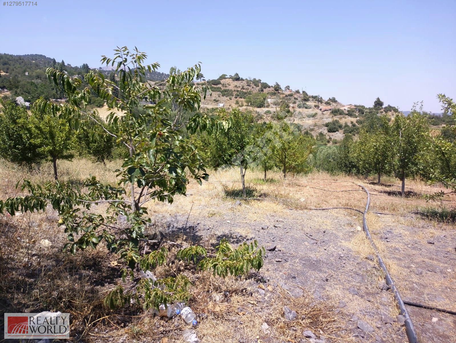 FESLİKAN BOYALI MEVKİİNDE SATILIK 4380 M² TARLA