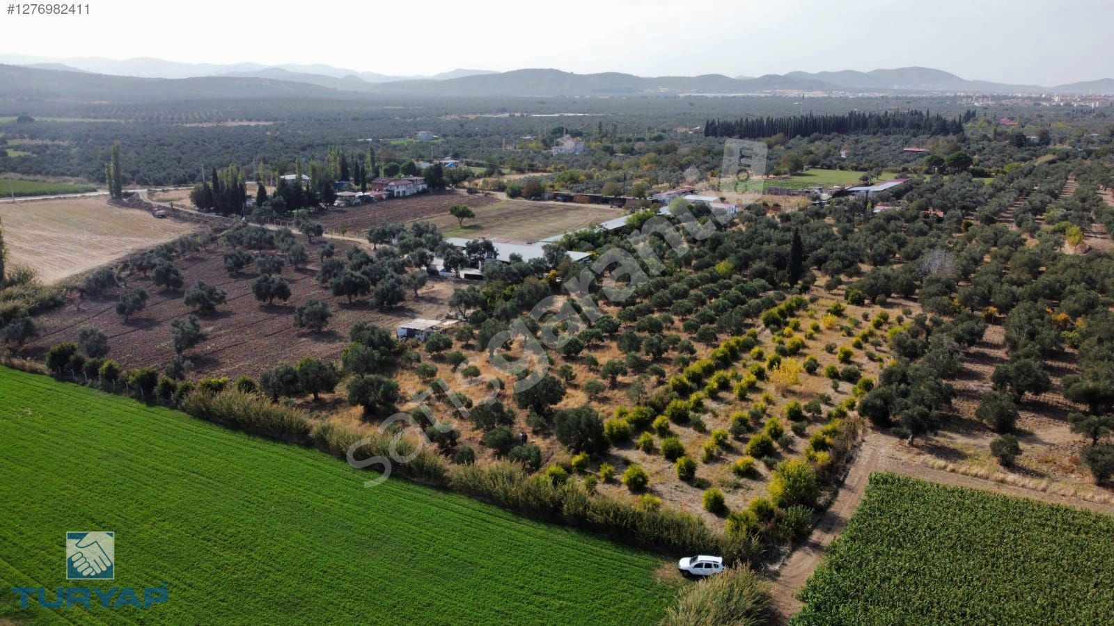 TURYAP'TAN MERKEZDE 2600 m2 ZEYTİNLİK