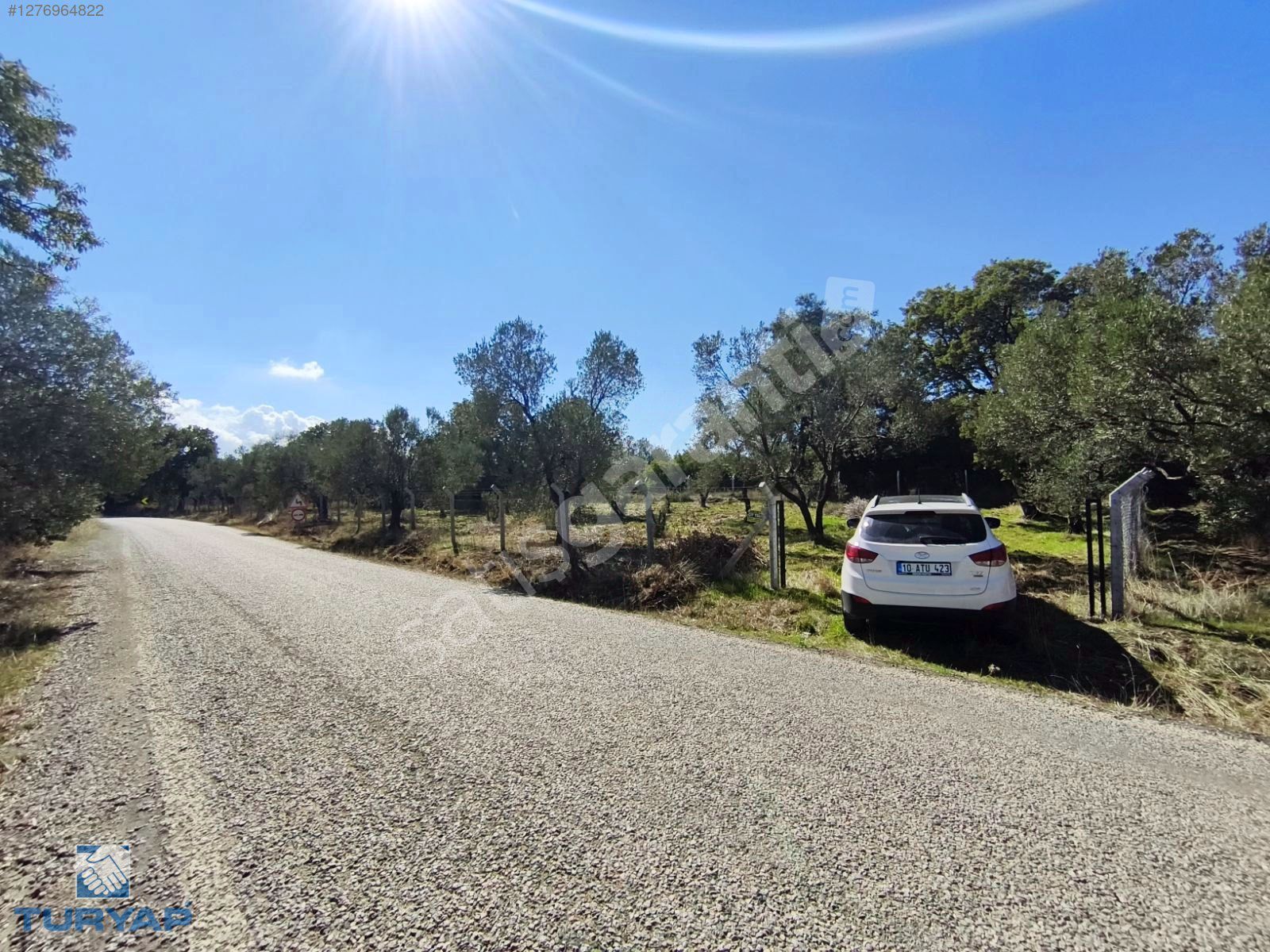 TURYAP'TAN 1200 M2 ASFALT CEPHE ZEYTİNLİK HOBİ YERİ
