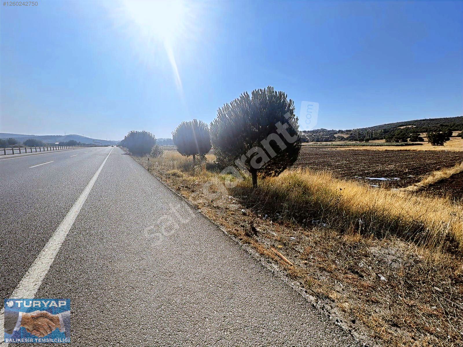 TURYAP'TAN GÖKÇEYAZI'DA EDREMİT YOLUNA CEPHELİ 12.510 M2 ARAZİ