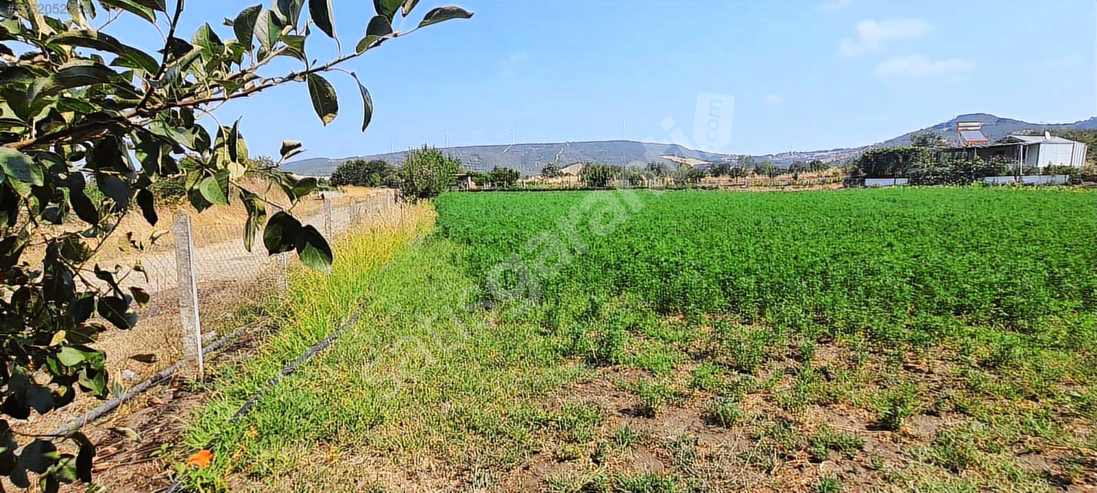 TURYAP Bandırma 'dan Gönen Tütüncü Köyünde Satılık Tarla