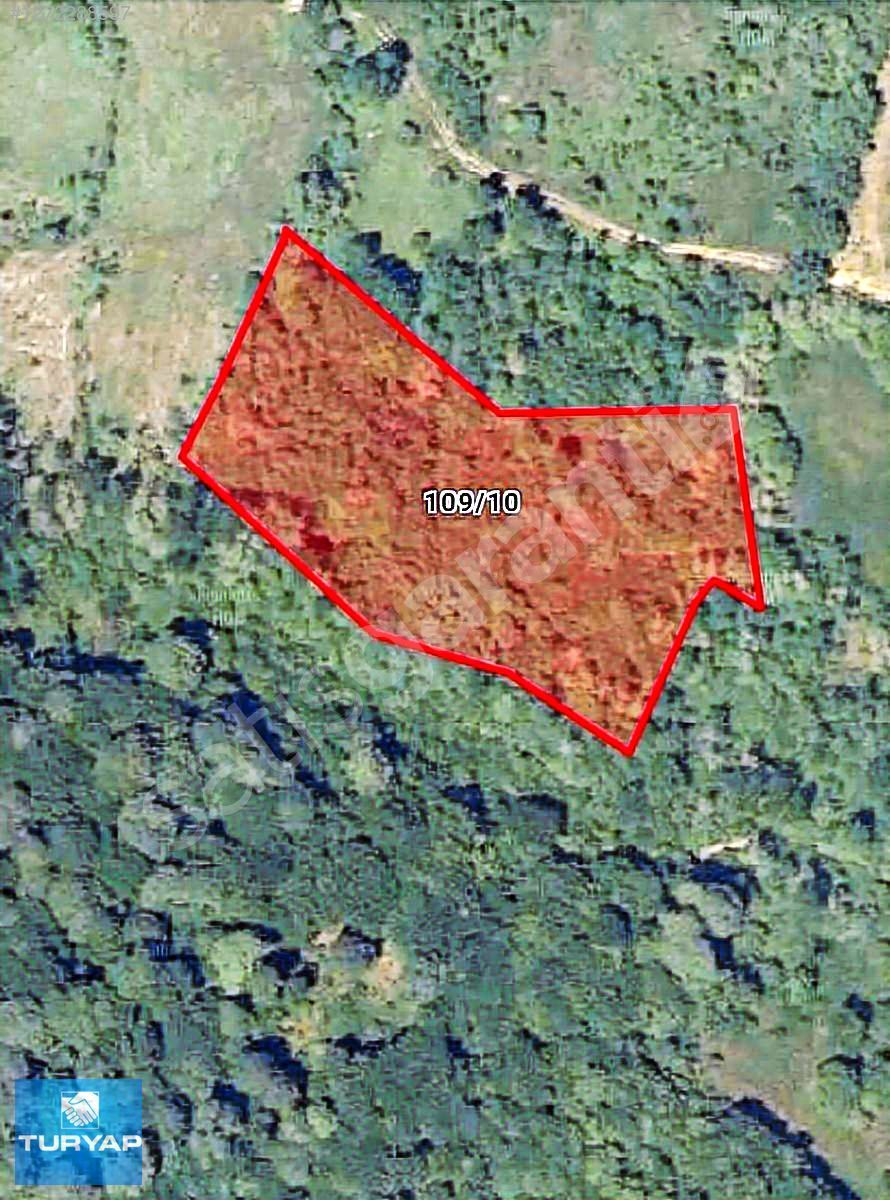 Ahmetpaşa Köyünde Satılık 6.326 m² Tarla