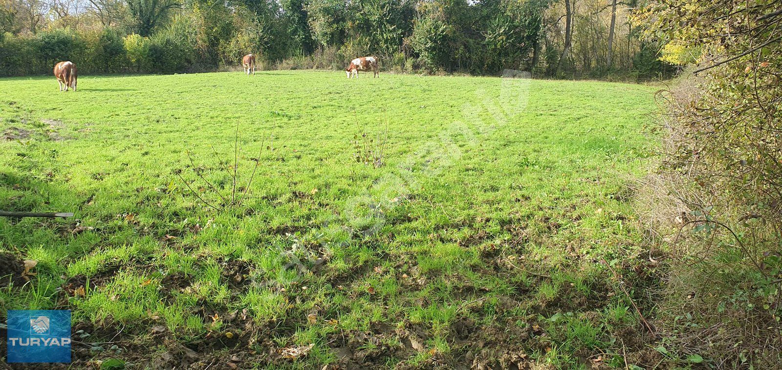 Akçamesçit köyünde Yola Cephe Tarla
