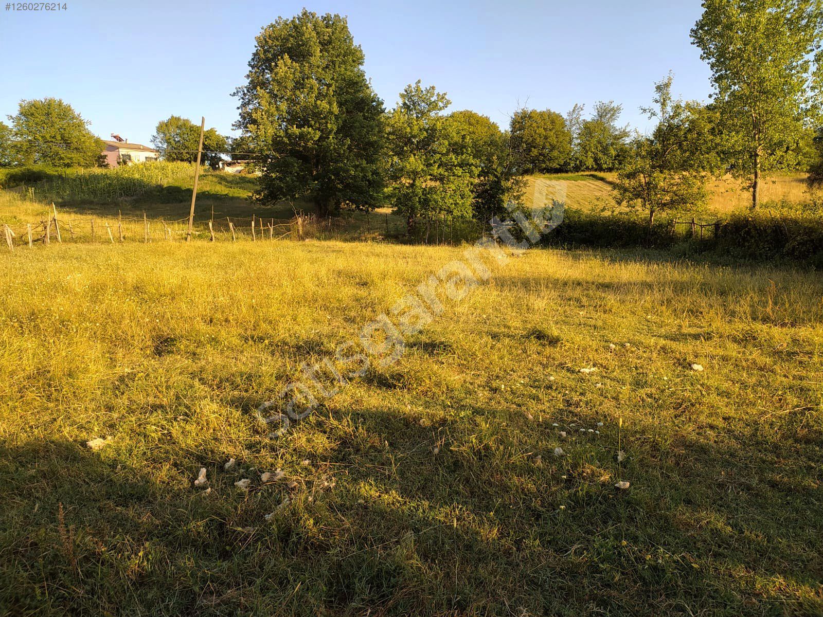 Ağdacı mahallesinde yola yakın satılık tarla