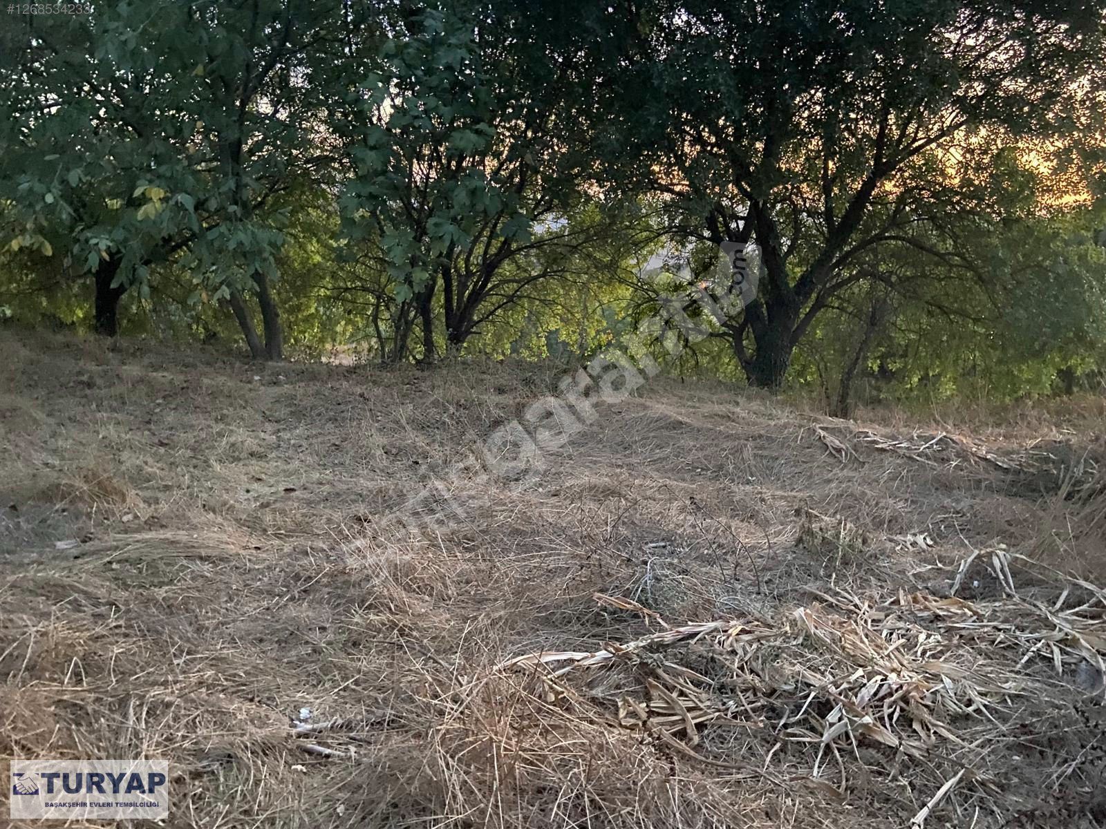 TURYAP'TAN KAYABAŞI KÖYÜNDE SATILIK 114 M2 ARSA HİSSESİ