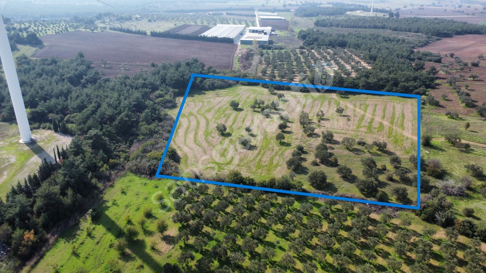 HAN EMLAK OTOMOTİV'DEN EZİNE ÜVECİK'TE 14700 m2 SATILIK TARLA