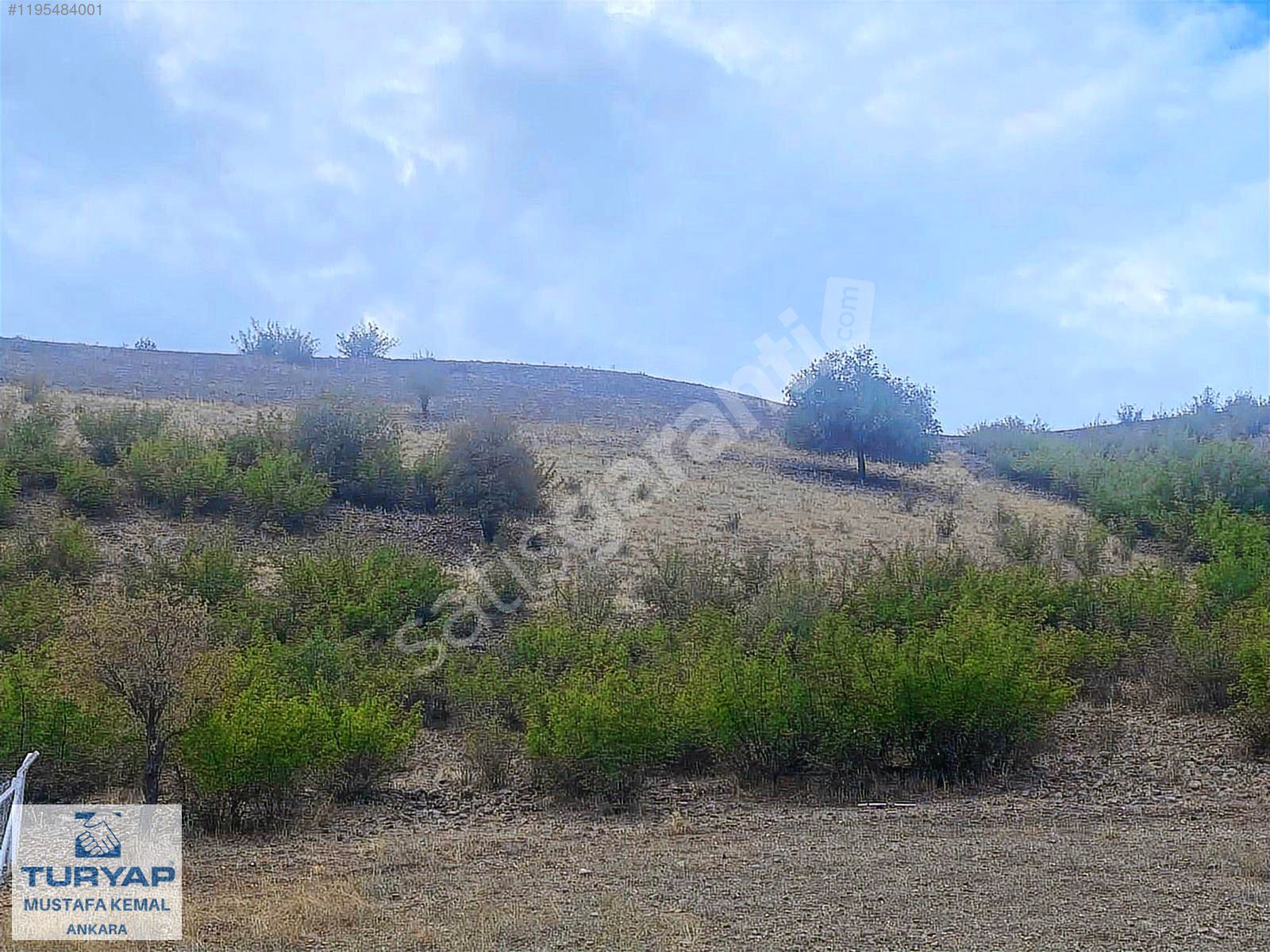 YATIRIMA UYGUN TARLA