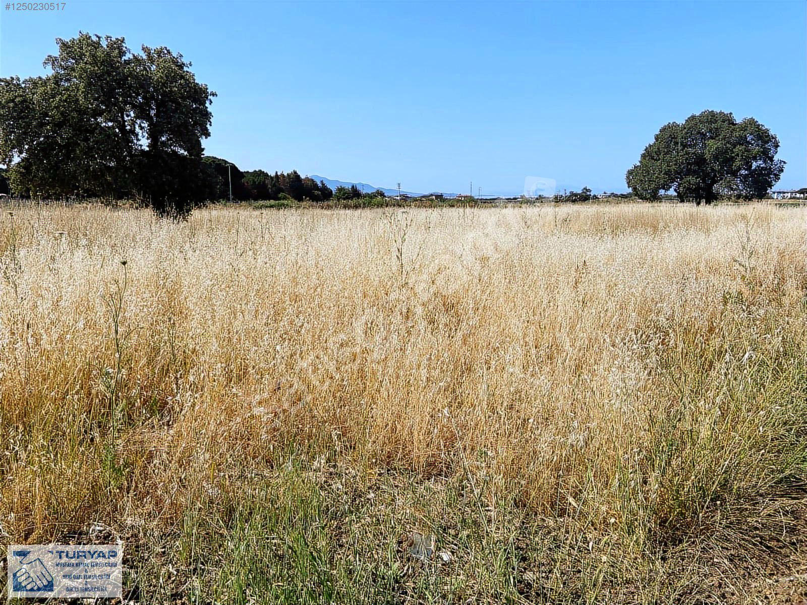 TURYAP'TAN DİKİLİ'DE İZMİR ANAYOLU'NA CEPHE SATILIK TARLA