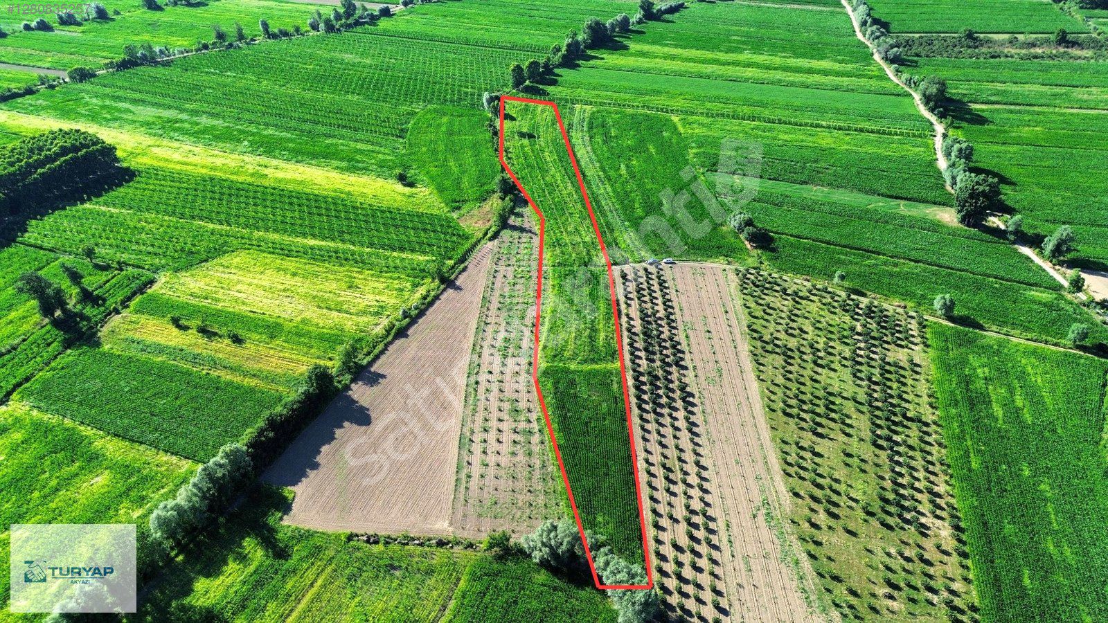 TURYAP AKYAZI'dan KUZEY MARMARAYA 10 DK MESAFEDE SATILIK TARLA
