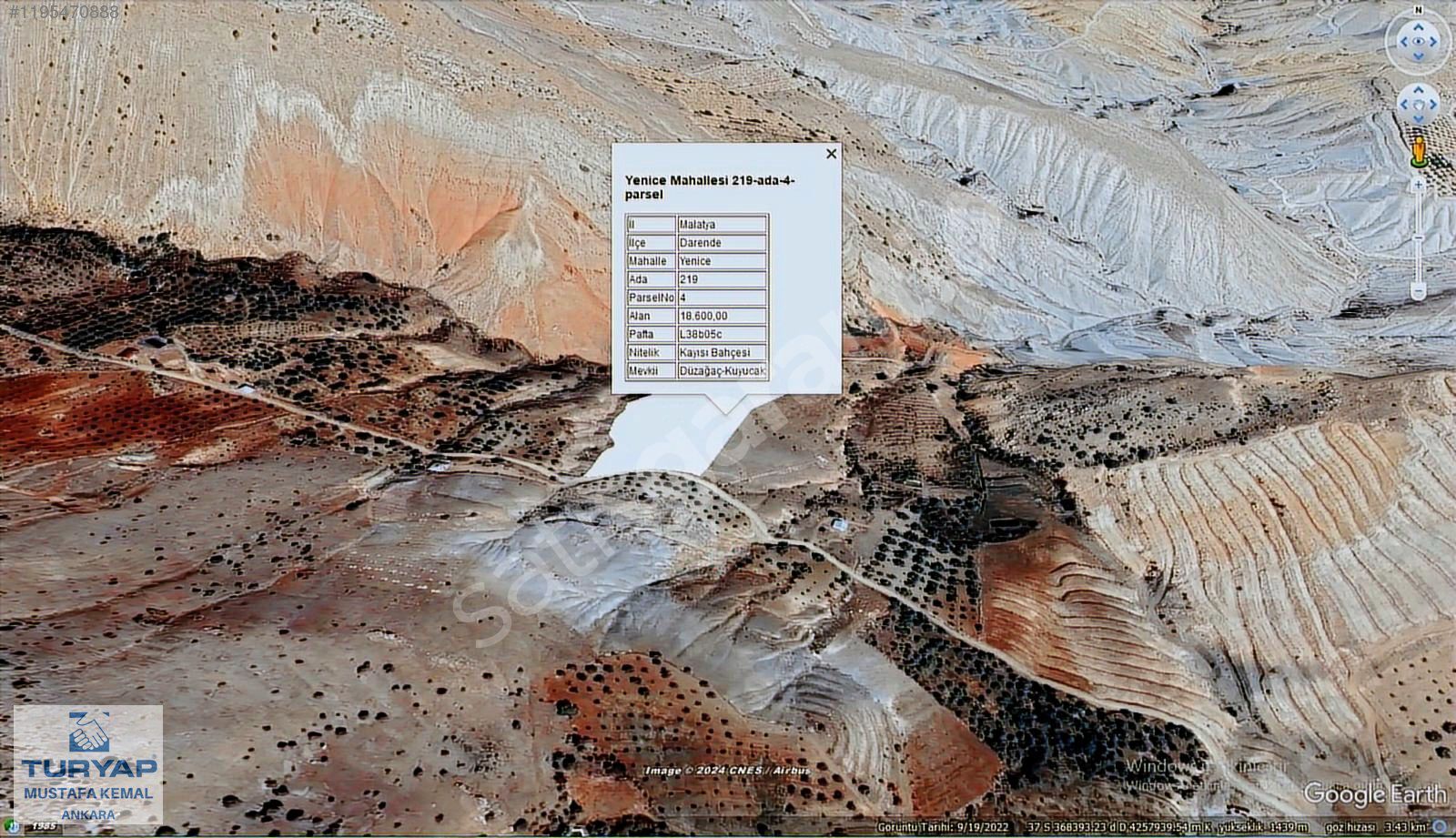 TURYAP GÜVENCESİYLE YENİCEDE KAYISI BAHÇESİ