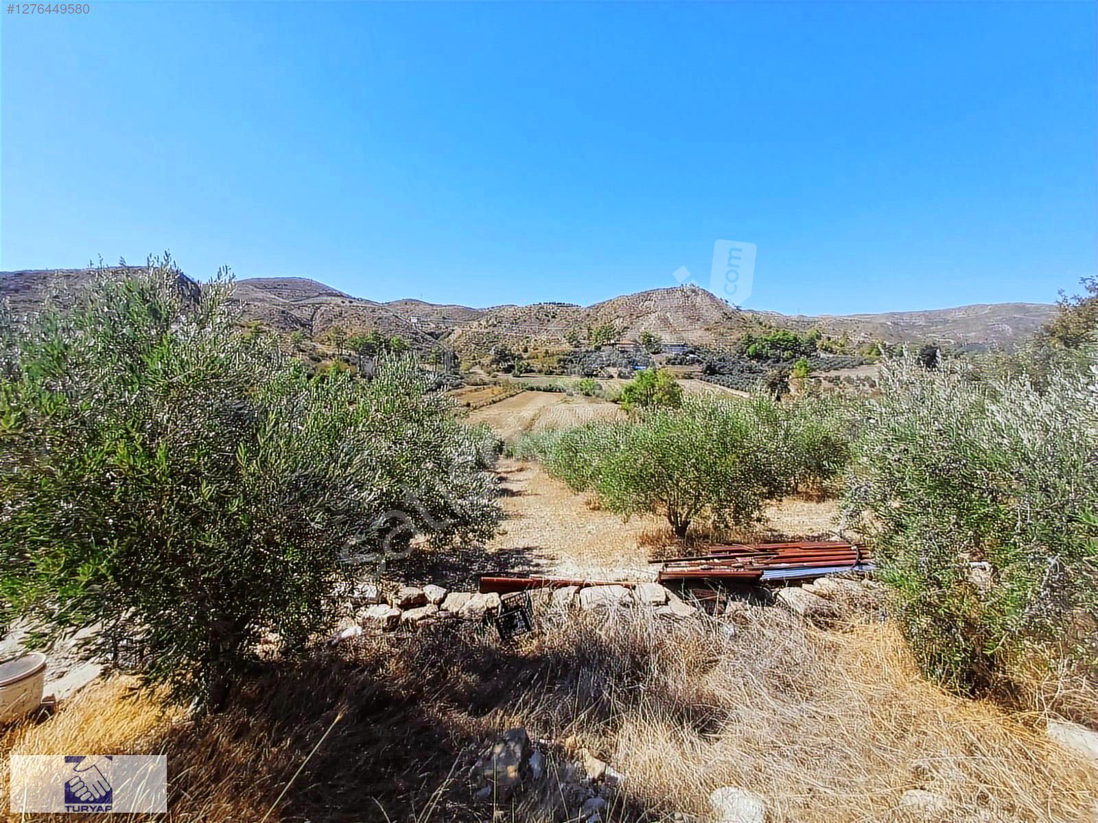 OYMAPINAR KÖY,GÖL VE DOĞA MANZARALI ZEYTİN BAKÇESİ