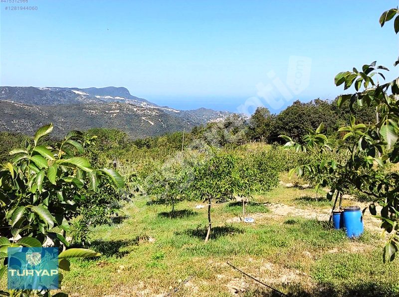 İster hayalinizdeki yaşam, İsterseniz Geleceğe Yatırım İçin