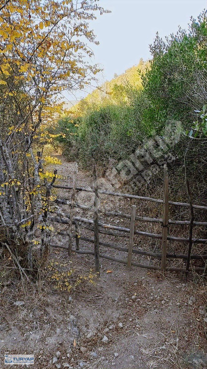 TURYAP GÜVENCESİYLE YATIRIMLIK ARSA-ÇANAKKALE BAYRAMİÇ