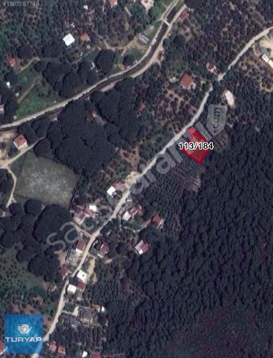 SATILIK ZEYTİNLİK ARSA ARMUTLU