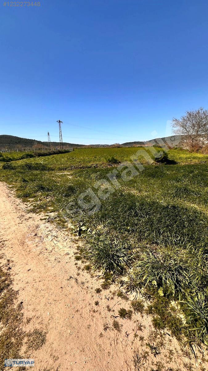 FİYAT DÜŞTÜ! Bodrum Tepecik'te Muhteşem Lokasyonda Satılık Tarla