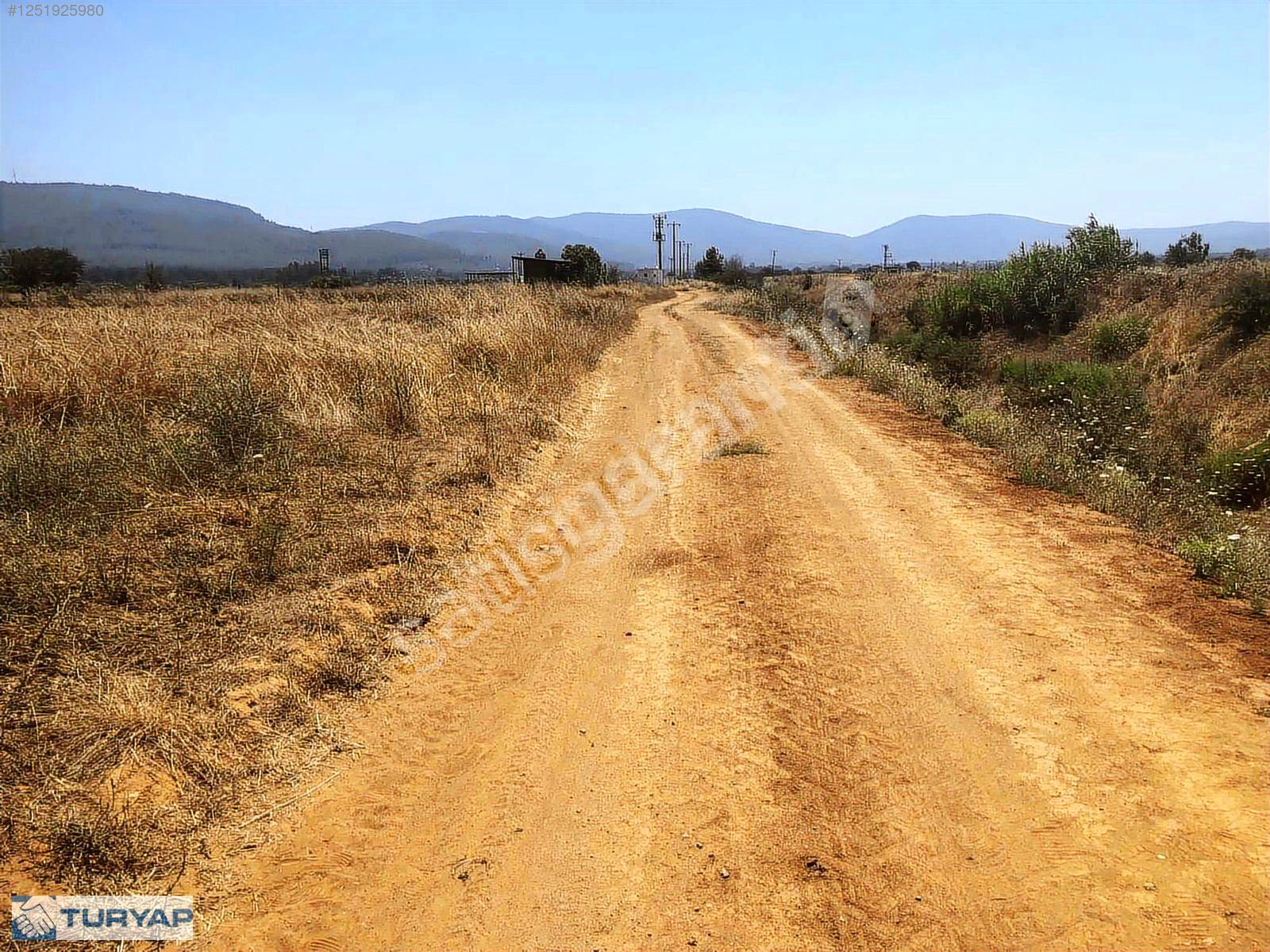 BODRUM MUMCULAR SAZKÖY SATILIK 2300 M2 TARLA