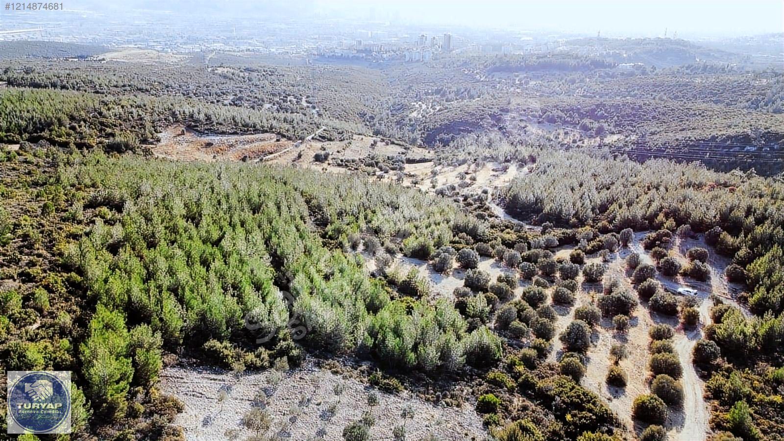 TURYAP - BORNOVA ÇİÇEKLİKÖY'DE YATIRIMLIK 9311m² SATILIK ARAZİ