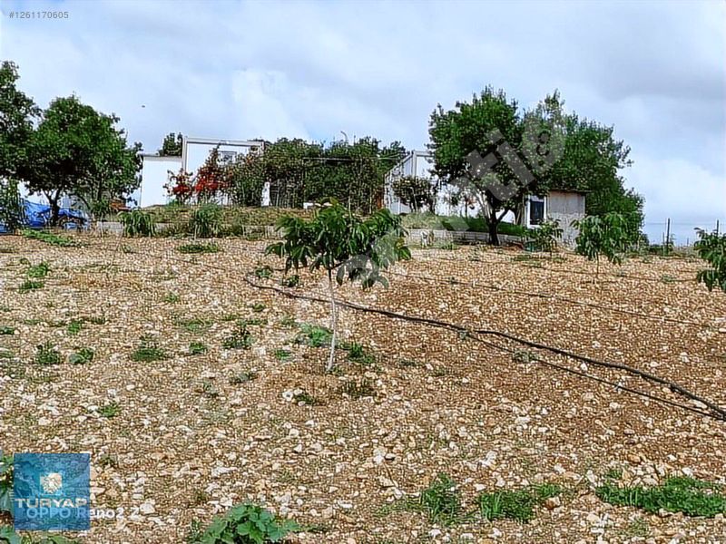 Kırklareli Pınarhisar' da Tek Tapu Müstakil Satılık Arsa