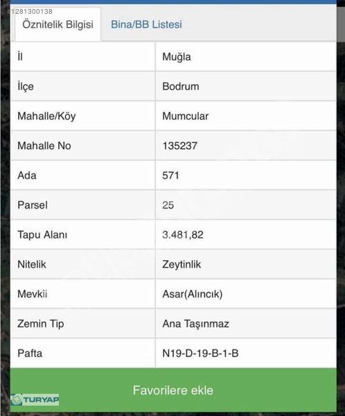 Bodrum Mumcularda zeytinlik